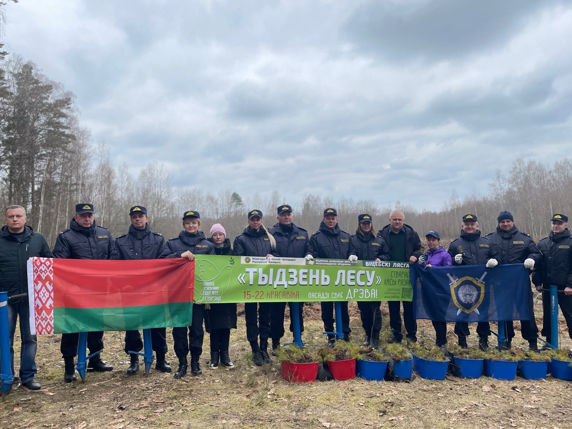 Карта витебский лесхоз